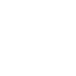 White sparkles and lens flare light