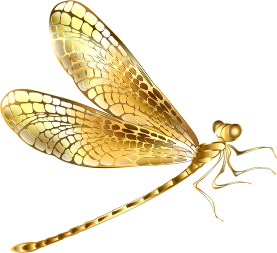Gold dragonfly